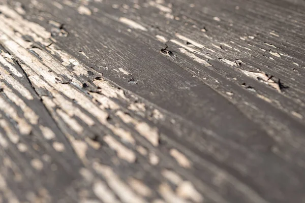 Old Weathered Wood Close Selective Focus — Stock Photo, Image