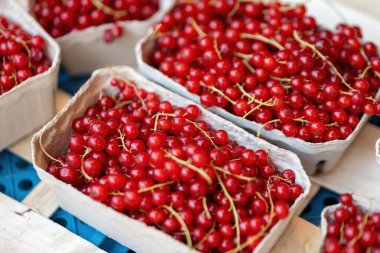 Meyve pazarında taze frenk üzümü