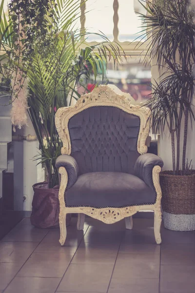 Une Vieille Belle Chaise Décorative Avec Des Plantes — Photo
