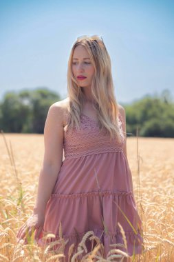 Yazın mısır tarlasında sarışın, uzun saçlı bir kadın.