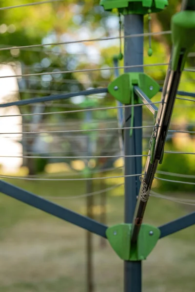 Une Araignée Laveuse Dans Jardin Focus Sélectif — Photo