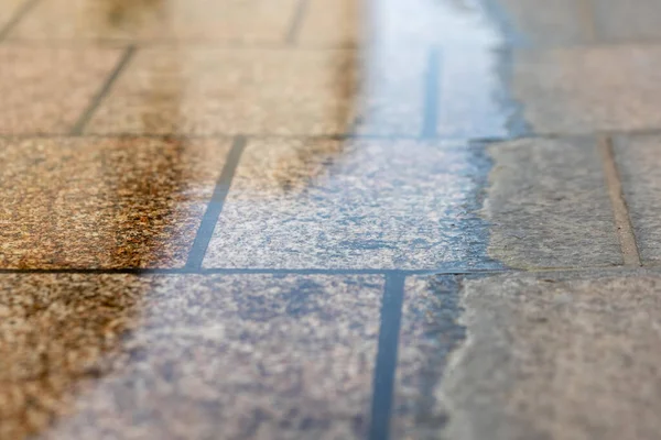 選択的な焦点で雨の中のフラッグストーン ウォークウェイ — ストック写真