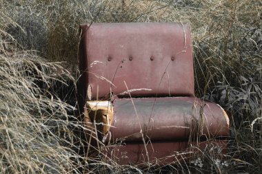 Doğada eski kahverengi kırık bir koltuk.