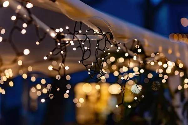 brightly illuminated fairy lights at night in selective focus