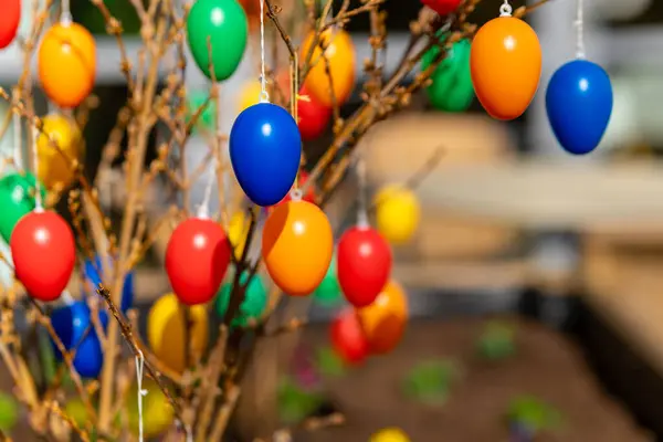 eggs as easter decoration on a bush in the spring