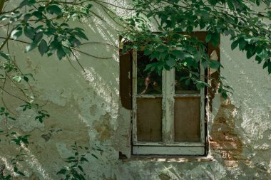 Dışarıya bakan eski bir pencere.