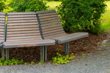 Parkta üç tahta levyeli bir bank oturuyor.