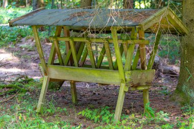 Ormanın ortasında bir ahşap besleyici oturuyor.