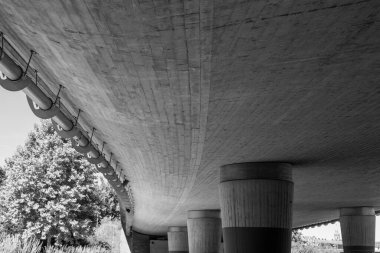 Arka planda ağaç olan bir köprü