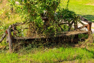 Ağacı olan bir bank.