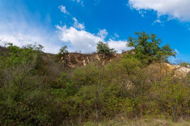 Ağaçlar ve çalılarla kaplı bir yamaç.