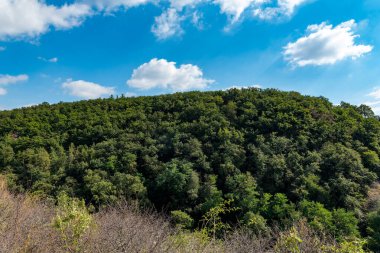 Berrak mavi gökyüzü olan yemyeşil bir tepe.