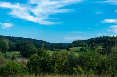 Arkasında açık mavi gökyüzü olan yemyeşil bir orman.