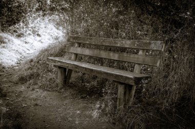 Uzun çimenler ve yapraklarla çevrili, ormanda bir ahşap bank oturuyor. Banktan uzaklaşan bir patika, uzaklarda kayboluyor..