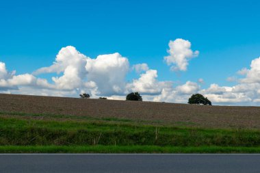 Önünde asfalt bir yol ve yamaçta bir sıra ağaç olan otlak bir arazi. Gökyüzü parlak mavi ve birkaç tüylü beyaz bulut.