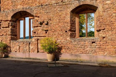 İki kemerli, ahşap çerçeveli ve cam camlı tuğla bir duvar. Bir pencerenin dışarıdaki ağaçların manzarası var. Duvarın önünde saksı bitkileri var..