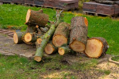 Kesik ağaç gövdeleri, taş bir patikanın yakınındaki çimlerin üzerinde üst üste istiflenir. Yerde birkaç parça odun ve biraz talaş var..