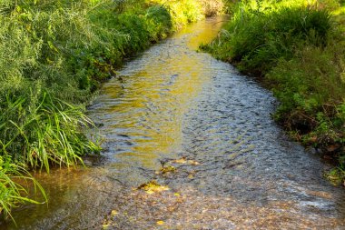 Küçük bir su akıntısı bir ormanın içinden akar. Su berrak ve mavidir. Yüzeyinde bazı sarı yapraklar yüzmektedir. Nehir her iki taraftaki yemyeşil bitki örtüsüyle sınırlıdır..