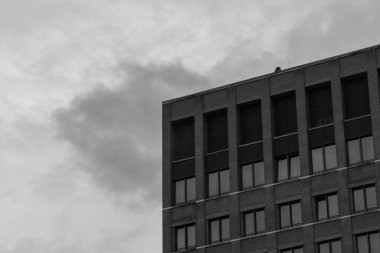 Bir kuş sürüsü, yüksek ve modern bir binanın üzerinde bulutlu bir gökyüzüne karşı dizilmiş bir şekilde uçuyor. Binanın birçok penceresi ve düz bir çatısı var..