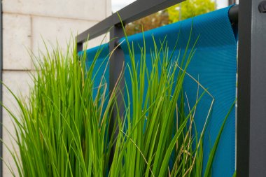 Üzerinde mavi paneller olan siyah metal bir çitin yanında büyüyen yeşil çimlerin yakın çekim görüntüsü.