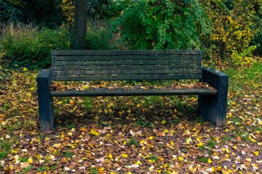 Sırtı kıvrılmış, koltuğu çimlerin üzerinde olan koyu ahşap bir bank. Zemin kahverengi ve sarı dökülen yapraklardan oluşan bir battaniyeyle kaplıdır..