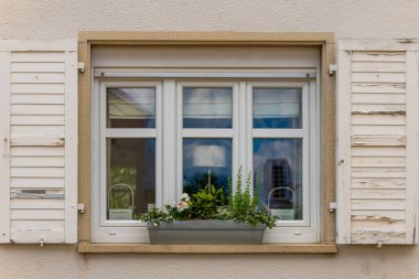 Büyüleyici beyaz bir pencere, rengarenk çiçeklerle dolu bir saksının sergilendiği rustik ahşap panjurlarla çerçevelenir. Güneş ışığı manzarayı aydınlatır, hoş bir atmosfer yaratır..