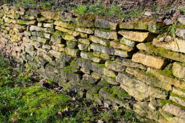 Yıpranmış taş bir duvarda taze yeşil çimenler ve toprak tonlarıyla çevrili yosun parçaları sergilenir. Bu huzurlu ortam, doğaya bir huzur ve bağlantı hissi veriyor..