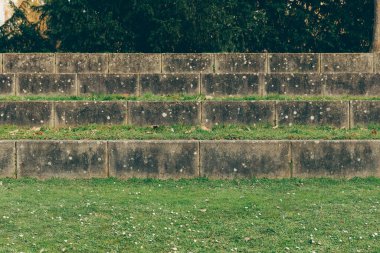 Ağaçların çerçevelediği çimenli bir alanda beton tribünler boş duruyor. Sahne, yaprakların arasından süzülen güneş ışığıyla sakin bir anı yakalar..