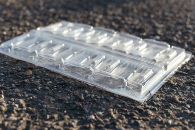 Şeffaf plastik bir kap sert bir beton zemine yerleştirilmiştir. Konteynır, doğal ışık altında şekillerini ve detaylarını gösteren çeşitli taraklar barındırıyor..