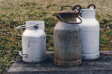 Değişik boyutlarda üç farklı süt kabı eskimiş ahşap bir masanın üzerinde, parlak güneş ışığı altında yeşil çimlerle çevrili, kırsal cazibelerini ön plana çıkarıyor..