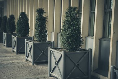 Verimli yeşil çalılar, binanın dış yüzeyinin estetiğini geliştirmek için şık gri tarlalarda düzenlenir. Tasarım çağdaş mimariyi ve peyzajı yansıtıyor..