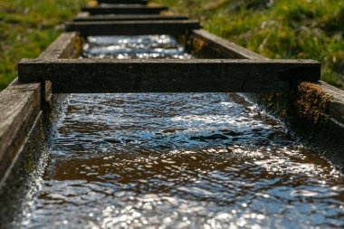 Yumuşak akıntılar, yoğun çimenler ve canlı bitki yaşamının arasına yerleşmiş olan güneş ışığını yansıtarak, ahşap kanallarda gezinir ve dingin bir atmosfer yaratır..