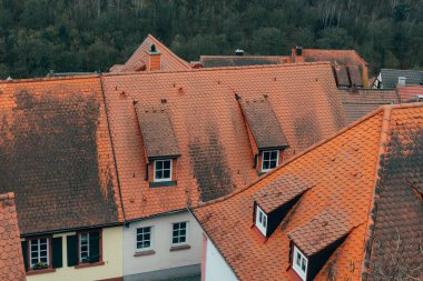 Resimli bir köyün çatılarına bakan turuncu kiremitli binalar gür orman zeminiyle uyum içinde harmanlanarak sonbahar cazibesinin güzelliğini gözler önüne seriyor..