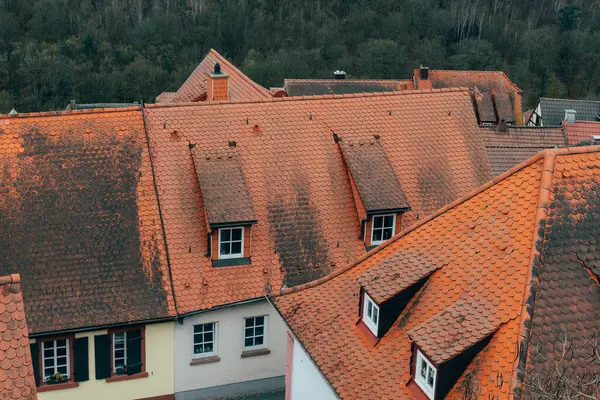 Resimli bir köyün çatılarına bakan turuncu kiremitli binalar gür orman zeminiyle uyum içinde harmanlanarak sonbahar cazibesinin güzelliğini gözler önüne seriyor..