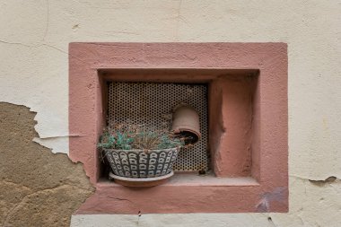 Yıpranmış bir duvarda, içi kuru bitkilerle dolu bir terasotta tenceresi ve soyulmuş boya ve dokularla çevrili bir köşe var. Basitlik kırsal çekiciliği vurguluyor.