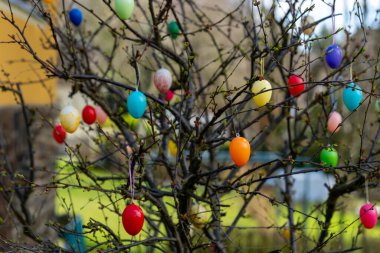 Bahçedeki bir ağacın dallarından sarkan parlak renkli yumurtalar baharı ve Paskalya bayramını simgeliyor. Canlı dekorasyonlar açık havaya şenlikli bir atmosfer katıyor..