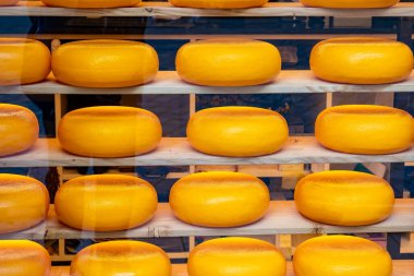 Ahşap raflara dizilmiş parlak sarı peynir mermileri kalabalık bir pazarda müşterileri cezbediyor. Sergide geleneksel peynir yapma zanaatı vurgulanıyor.