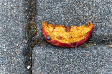 İhmal edilmiş bir elma parçası, çürüme belirtileri gösteren dokulu bir kaldırımda duruyor. Canlı renkleri gri taşlarla tezat oluşturuyor, canlı bir şehirde unutulmuş anları ima ediyor..