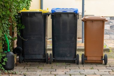 Renkli çöp bidonları, atık ayıklama için düzenlenmiş kaldırım taşı yolunda sıkıca duruyor. Yeşillik bu konteynırları çevrelemiş, doğa ve toplum sorumluluğunun bir karışımını sergiliyor..