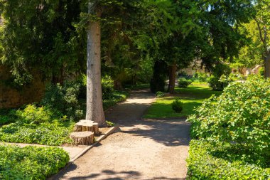 Bereketli bir bahçeden geçen huzurlu bir patika, uzun ağaçların arasından süzülen güneş ışığı. Yumuşak otlar ve canlı yeşillikler sakin patikaları çerçeveler, doğanın güzellikleri arasında sakin yürüyüşler yapmaya davet.