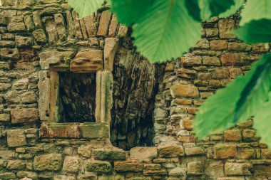 Yapraklarla kaplanmış, yıpranmış taş kalıntıları geçmişle ilgili hikayeler anlatıyor. Güneş ışığı yaprakların arasından süzülüyor, eskimiş duvarlardan yansıyan işçiliği ve tarihi vurguluyor..