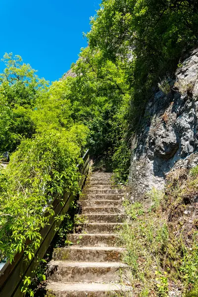 Dolambaçlı taş basamaklar, berrak mavi bir gökyüzünün parlaklığı altında kayalık uçurumlarla çevrili yemyeşil alandan yukarıya doğru uzanır. Güneş ışığı yaprakların arasından süzülerek tırmanışın sükunetini arttırır..
