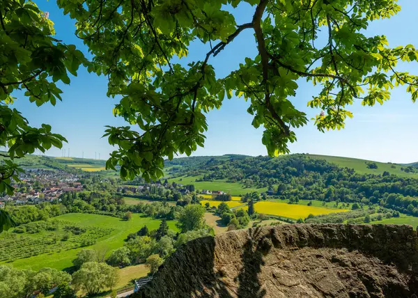 Yeşil yemyeşil tepeler, kır çiçekleriyle süslenmiş ve rüzgarda hafifçe sallanan canlı ağaçlarla çerçevelenmiş arazide uzanıyor. Berrak mavi gökyüzü bu huzurlu manzaranın dingin güzelliğine ekleniyor..