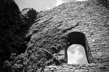 Bereketli sarmaşıklarla kaplanmış, yıpranmış taş duvarlar bulutların arasında dimdik duruyor, doğanın güzelliğini gözler önüne seriyor, sakin bir manzarada geçmişin kalıntılarıyla birleşiyor..