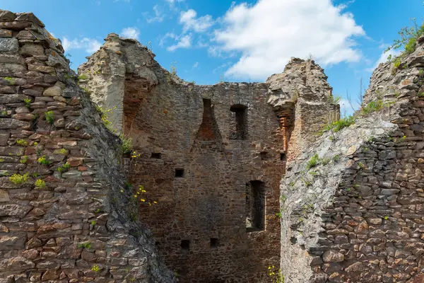 Canlı yeşilliklerin ortasında, taş duvarların kalıntıları mavi gökyüzüne doğru yükseliyor, kaşifleri geçmişin hikayelerini fısıldayan bu antik sitenin tarihini araştırmaya davet ediyor..