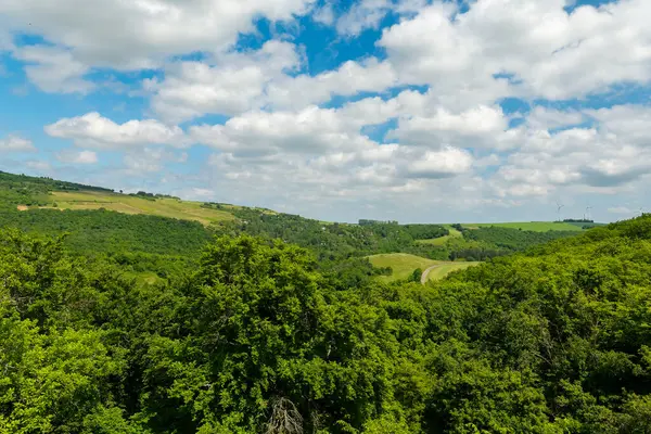 Bereketli yeşilliklerle bezenmiş yuvarlanan tepeler yumuşak, beyaz bulutlarla benekli, parlak mavi bir gökyüzünün altında sakin bir manzara yaratır. Bu pitoresk kırsal alan keşif ve rahatlamaya davetiye çıkarıyor..