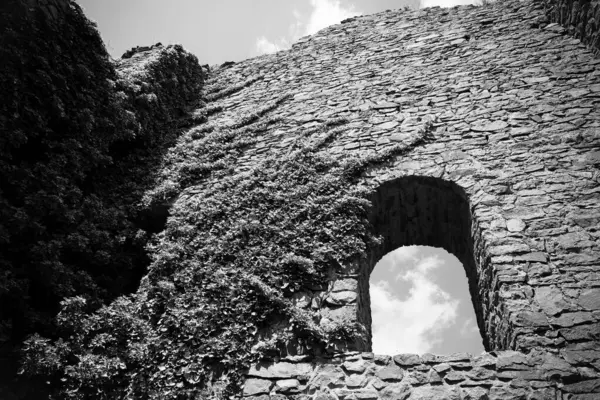 Bereketli sarmaşıklarla kaplanmış, yıpranmış taş duvarlar bulutların arasında dimdik duruyor, doğanın güzelliğini gözler önüne seriyor, sakin bir manzarada geçmişin kalıntılarıyla birleşiyor..