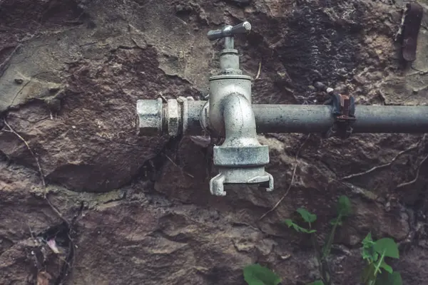 Çürümüş metal bir musluk, sarmaşıklarla çevrili engebeli taştan bir duvara monte edilir. Alacakaranlık ışığı sakin bir ortam yaratıyor. Bu da doğanın bu açık alanı geri almasına işaret ediyor..