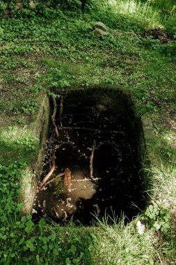 Çimlerle ve dağınık dallarla çevrili karanlık, bulanık bir havuz, yemyeşil bir ormandaki batık bir alanda ortaya çıkar. Güneş ışığı yaprakların arasından süzülür, gizem ve entrika havası yaratır..