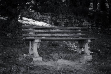Huzurlu bir parkta, yemyeşil ve yumuşak gölgelerin arasında tek bir bank dinlenir. Güneş ışığı yaprakların arasından süzülerek yansıma için mükemmel barışçıl bir ortam yaratır..